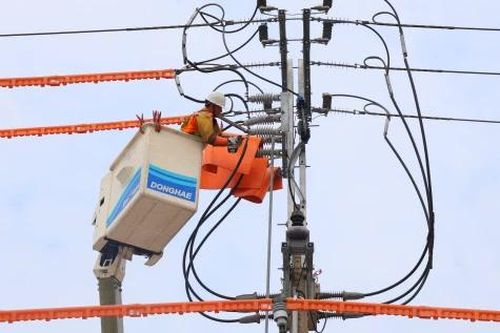 Công ty Điện lực Đồng Tháp: Thắp sáng niềm tin, giữ vững dòng điện phục vụ Tết Nguyên đán 2026