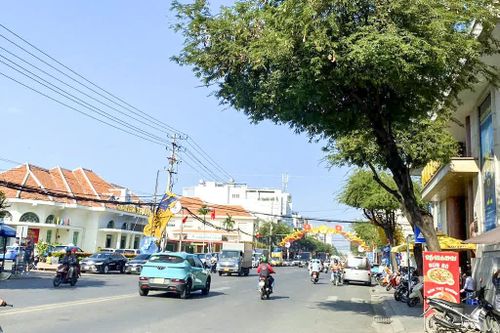 Con đường có lá me bay…