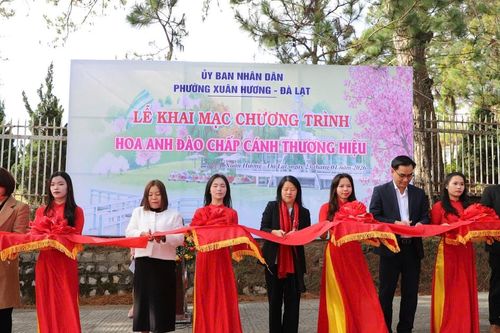 Khai mạc chương trình 'Hoa mai anh đào chắp cánh thương hiệu Đà Lạt'
