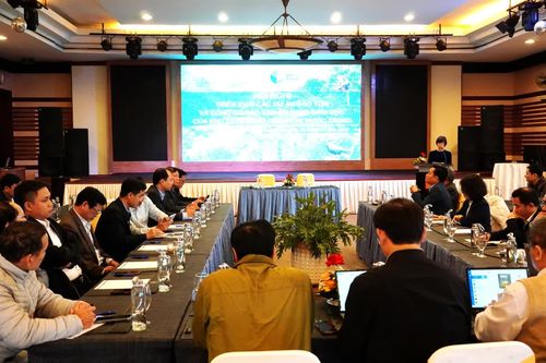 Hợp tác bảo tồn đa dạng sinh học tại Khu dự trữ thiên nhiên Động Châu-khe Nước Trong