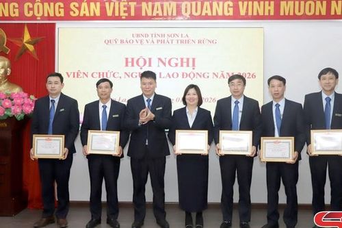 Triển khai thực hiện chính sách chi trả dịch vụ môi trường rừng
