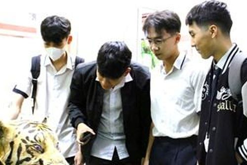 Học sinh trải nghiệm học tập tại Bảo tàng Thiên nhiên duyên hải miền Trung