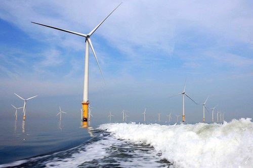 EVN, PVN được giao gần 64.000 ha biển khảo sát điện gió ngoài khơi