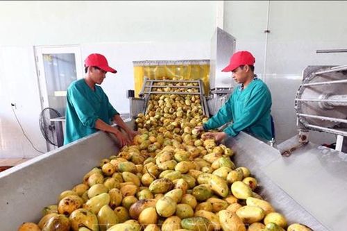 Ba Lan siết chặt kiểm soát biên giới: Cảnh báo quan trọng cho doanh nghiệp nông sản Việt