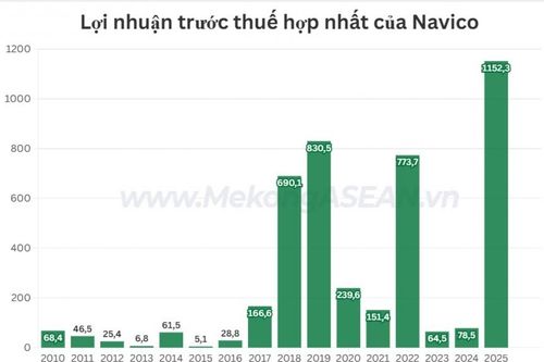 Năm đầu tiên Navico có lãi nghìn tỷ đồng