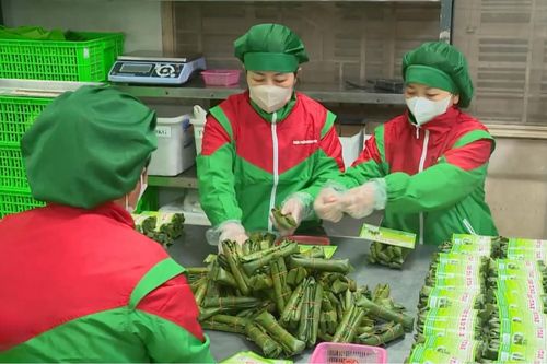Làng nghề Hà Nội vào vụ Tết