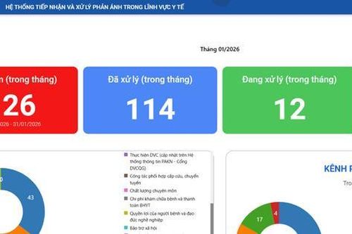 TP Hồ Chí Minh: Số hóa tiếp nhận, xử lý phản ánh y tế bước đầu phát huy hiệu quả
