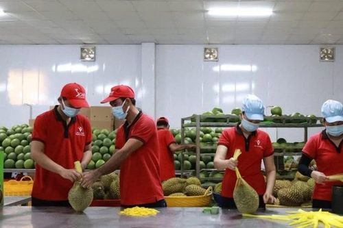 Giữ thị phần nông sản bằng chất lượng