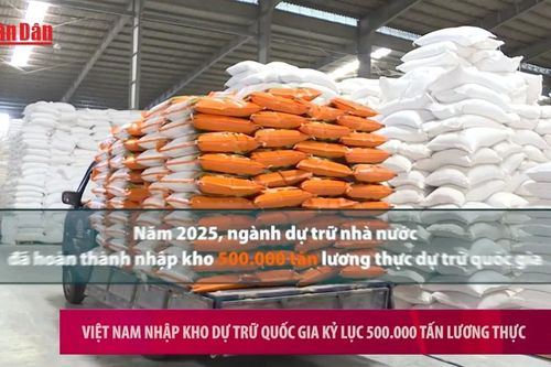 Việt Nam nhập kho dự trữ quốc gia kỷ lục 500.000 tấn lương thực
