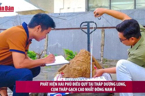 Phát hiện hai phù điêu quý tại tháp Dương Long, cụm tháp gạch cao nhất Đông Nam Á