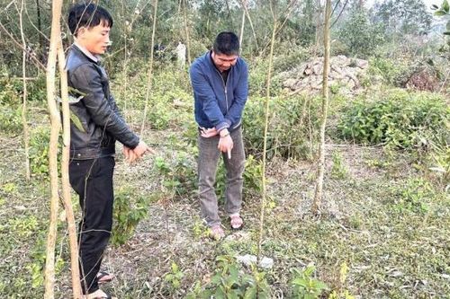 Thậm thụt trong nghĩa trang với 'ma'