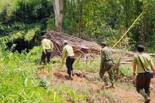Đồng Nai: Nhân viên bảo vệ bị chém trọng thương khi tuần tra rừng