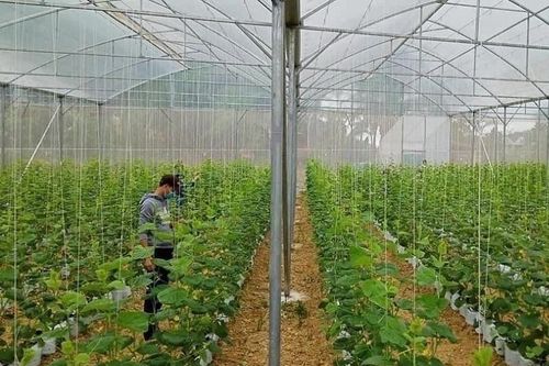 Ứng dụng khoa học và công nghệ tăng hiệu quả công tác nghèo bền vững ở Thanh Hóa