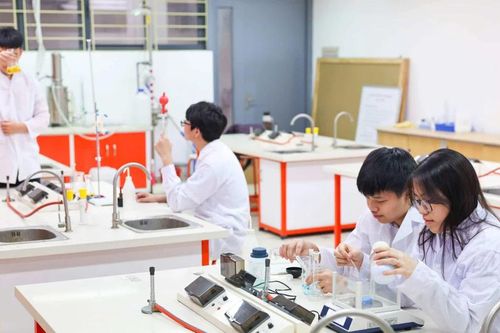 Chuyển đổi số giáo dục: Từ công nghệ đến đổi mới tư duy