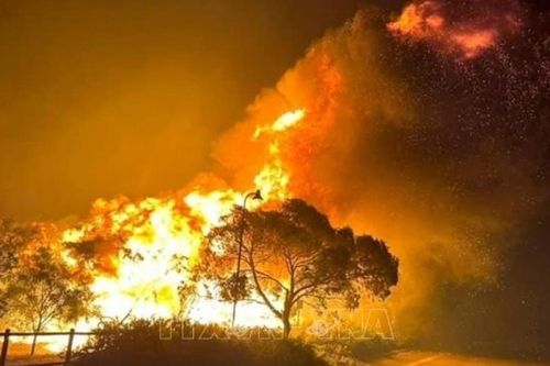 Australia với nguy cơ cháy rừng diện rộng trong đợt nắng nóng kỷ lục