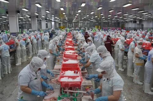 Đồng Tháp thưởng Tết cao nhất 300 triệu đồng/người