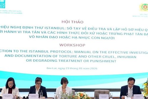 Bước đi thiết thực của Việt Nam trong thực hiện Công ước Chống tra tấn