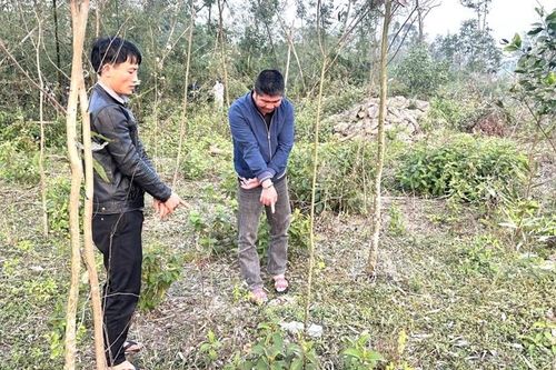 Phê chuẩn khởi tố 2 đối tượng vào nghĩa trang sử dụng ma túy