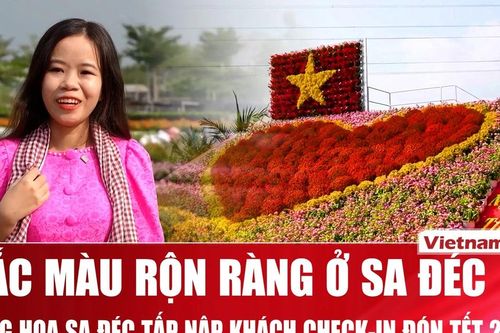 Thủ phủ hoa 300 năm tuổi Sa Đéc tấp nập khách 'check-in' đón Tết
