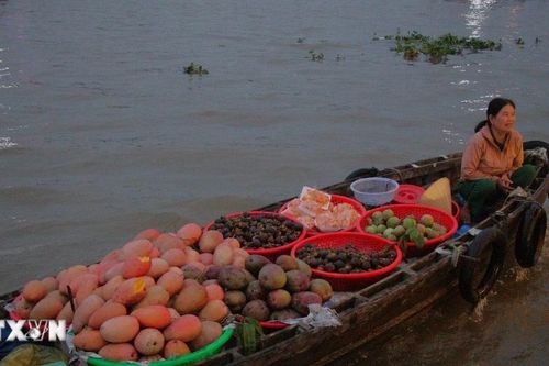 Nhộn nhịp giao thương trên chợ nổi Cái Răng ở thành phố Cần Thơ