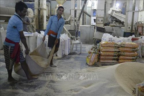 Thị trường nông sản: Giá gạo châu Á trầm lắng do cầu vẫn yếu