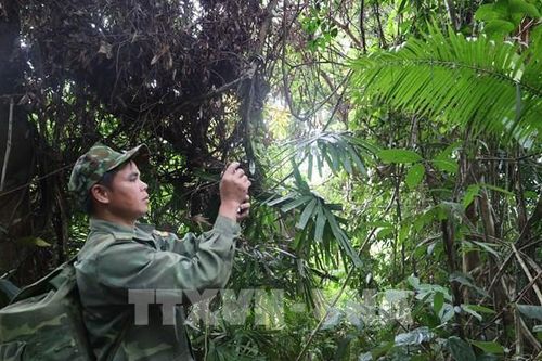 Chuyển đổi quản lý, bảo vệ rừng - Bài cuối: Điểm tựa xanh của đô thị sinh thái