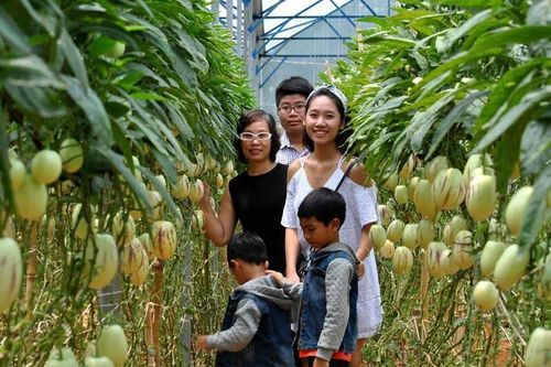 Khi công nghệ kể chuyện nhà vườn và niềm tin đến từ sự minh bạch