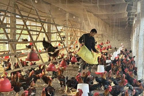 Đáp ứng nhu cầu về vốn, thúc đẩy phát triển sản xuất, kinh doanh cho người dân