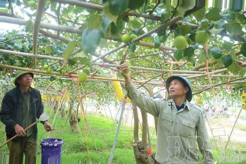 Nhân lực - 'nút thắt' trong phát triển nông nghiệp công nghệ cao