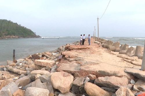 Gia Lai phân bổ 161 tỷ đồng để khẩn cấp khắc phục các công trình bị hư hỏng sau bão lũ