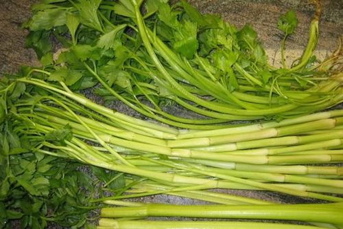 4 món ăn từ rau cần giúp ngủ ngon