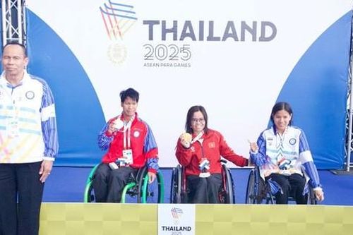 Thành tích nổi bật của đoàn Thể thao Người khuyết tật Việt Nam tại ASEAN Para Games 13