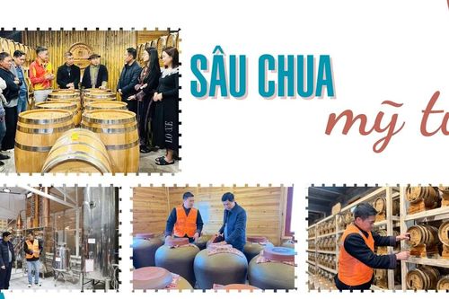 Sâu Chua mỹ tửu