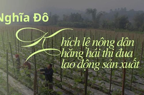 Nghĩa Đô: Khích lệ nông dân hăng hái thi đua lao động sản xuất