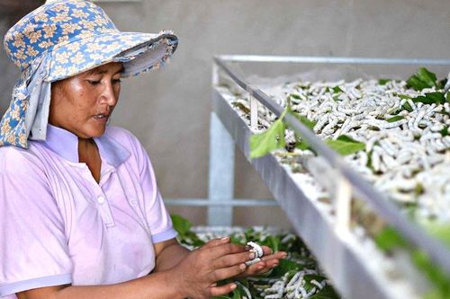 Cùng làm - cùng hưởng - cùng phát triển