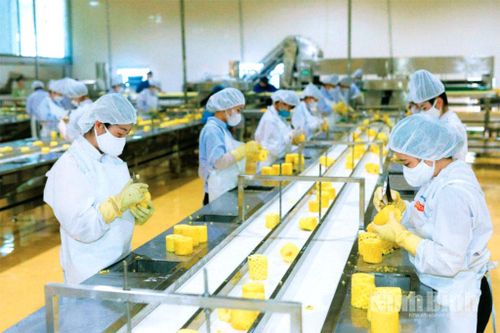 Bảo đảm tốt việc làm, chế độ phúc lợi cho người lao động