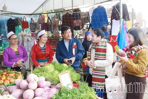 Tiên phong phát triển rau an toàn trên vùng cao Vân Sơn