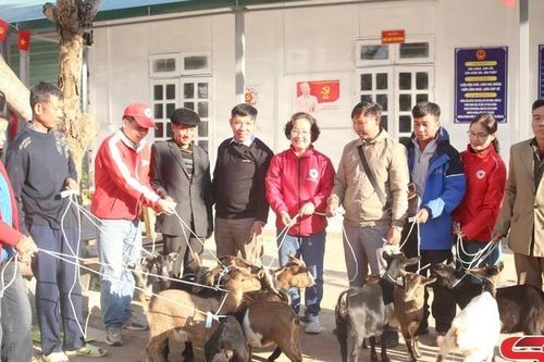 Trao 10 cặp dê giống cho hộ nghèo xã Mường Khiêng