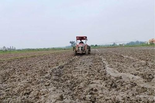Đảm bảo thắng lợi cho vụ đông xuân