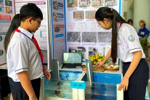 Gần 200 đề tài tham gia Cuộc thi Khoa học - Kỹ thuật học sinh trung học cấp thành phố