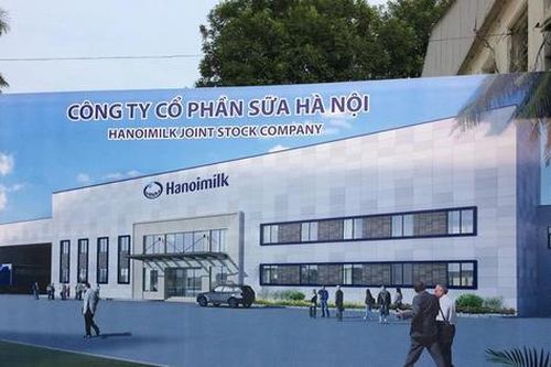 Hanoimilk (HNM): Lợi nhuận năm 2025 giảm sâu 41%, vỡ kế hoạch kinh doanh dù mạnh tay vay vốn mở rộng sản xuất