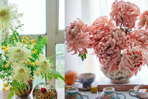 Bí quyết cắm hoa cúc tươi lâu cả Tết, có thể kéo dài tới 25 ngày
