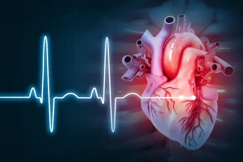 Cơ quan bị hiểu nhầm nhất trong cơ thể