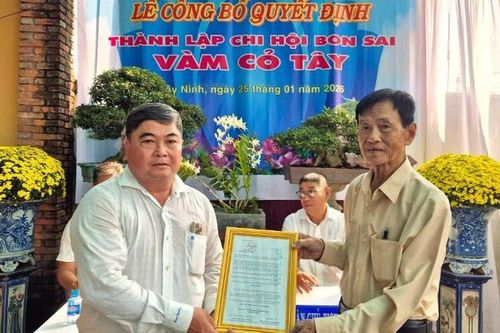 Tây Ninh từng bước hội nhập với nghệ thuật bonsai khu vực và thế giới