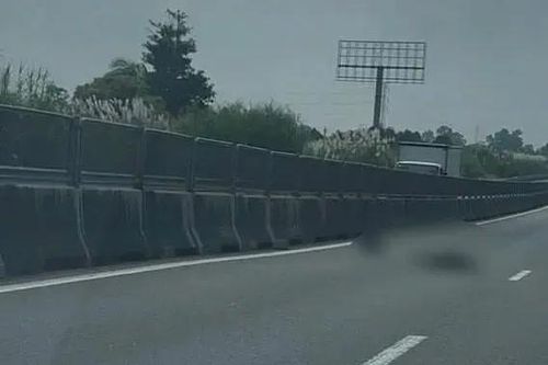 Vụ thi thể người nước ngoài trên cao tốc Trung Lương - Mỹ Thuận: Bắt 2 nghi can
