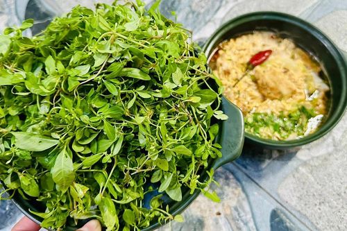 Rau 'trời ban' có từ Nam ra Bắc, vị đắng lạ, ăn cùng cháo cá lóc rất ngon