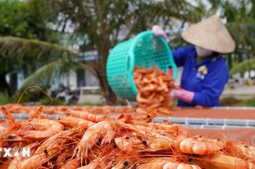 Làng nghề ven biển Cà Mau nhộn nhịp vào mùa Tết