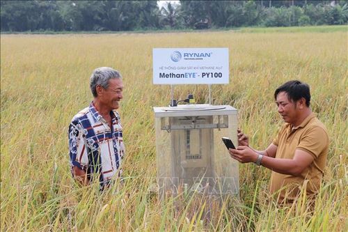 Nghị quyết 57-NQ/TW và nông nghiệp xanh - Bài 1: Nông dân đổi mới tư duy, mở lối làm giàu