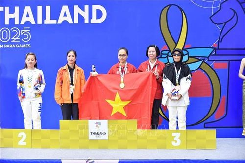 ASEAN Para Games 13: Cờ vua đóng góp nhiều huy chương nhất vào thành tích chung