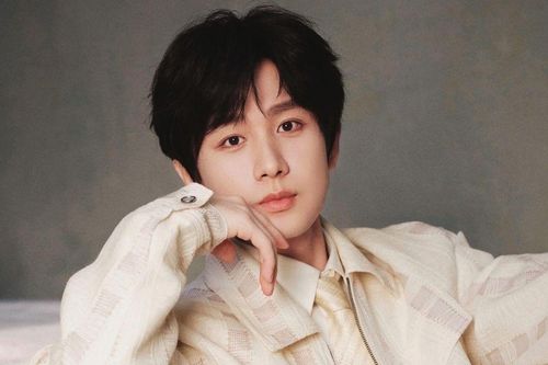 Thành Nghị khiến công ty mất hàng tỷ đồng vì một cú lắc đầu
